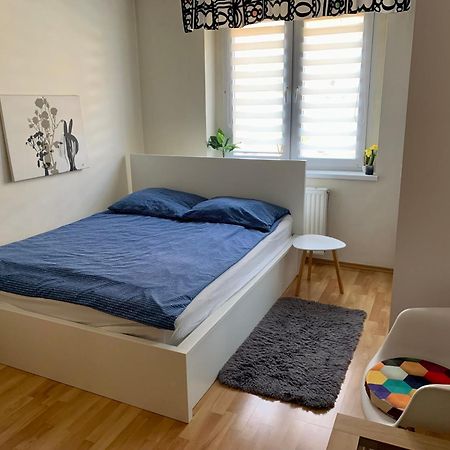 Apartament Joanna Parter Blisko Onkologii I Strefy Ekonomicznej Gliwice Exterior photo