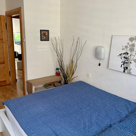 Apartament Joanna Parter Blisko Onkologii I Strefy Ekonomicznej Gliwice Exterior photo