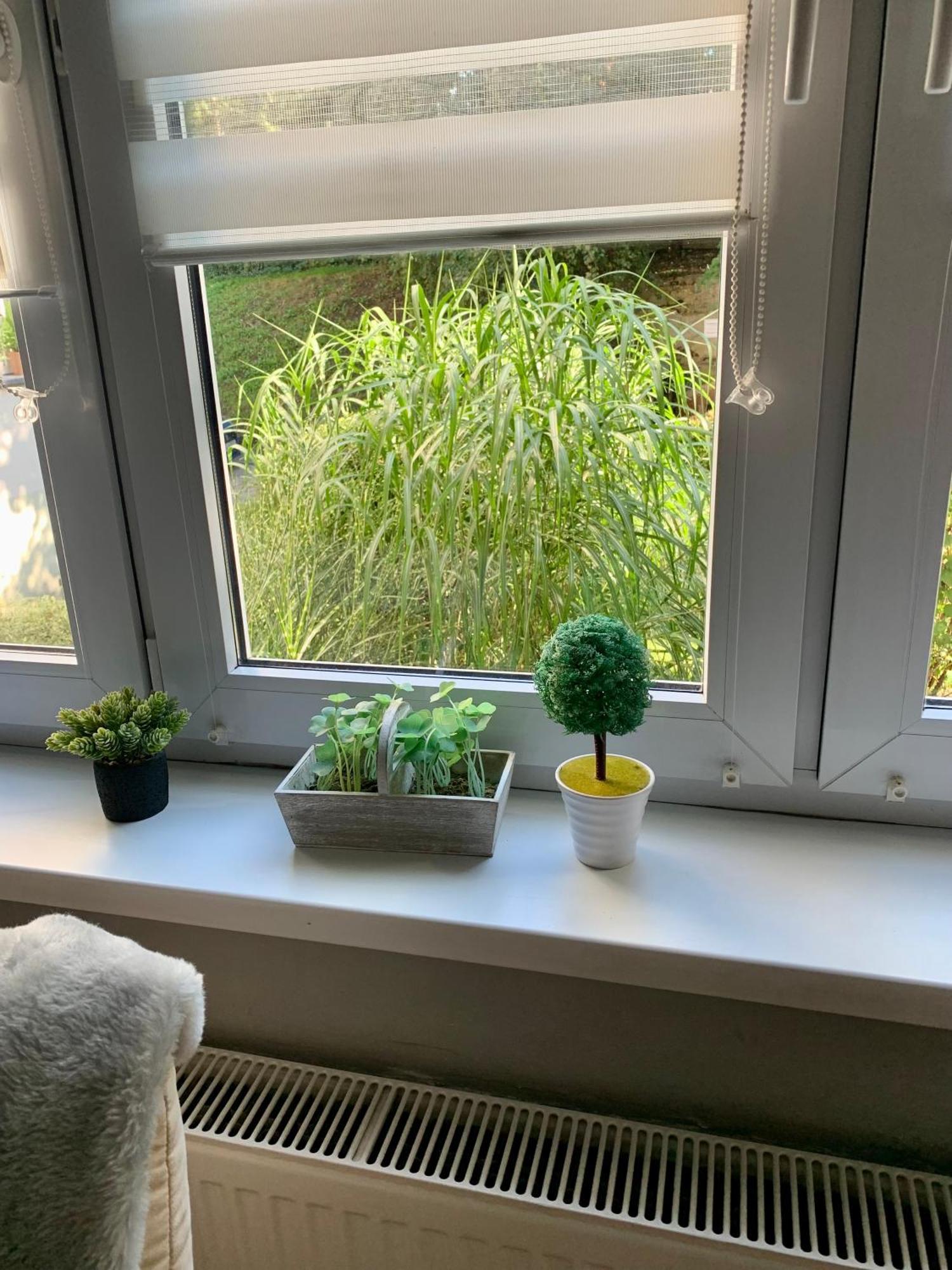 Apartament Joanna Parter Blisko Onkologii I Strefy Ekonomicznej Gliwice Exterior photo